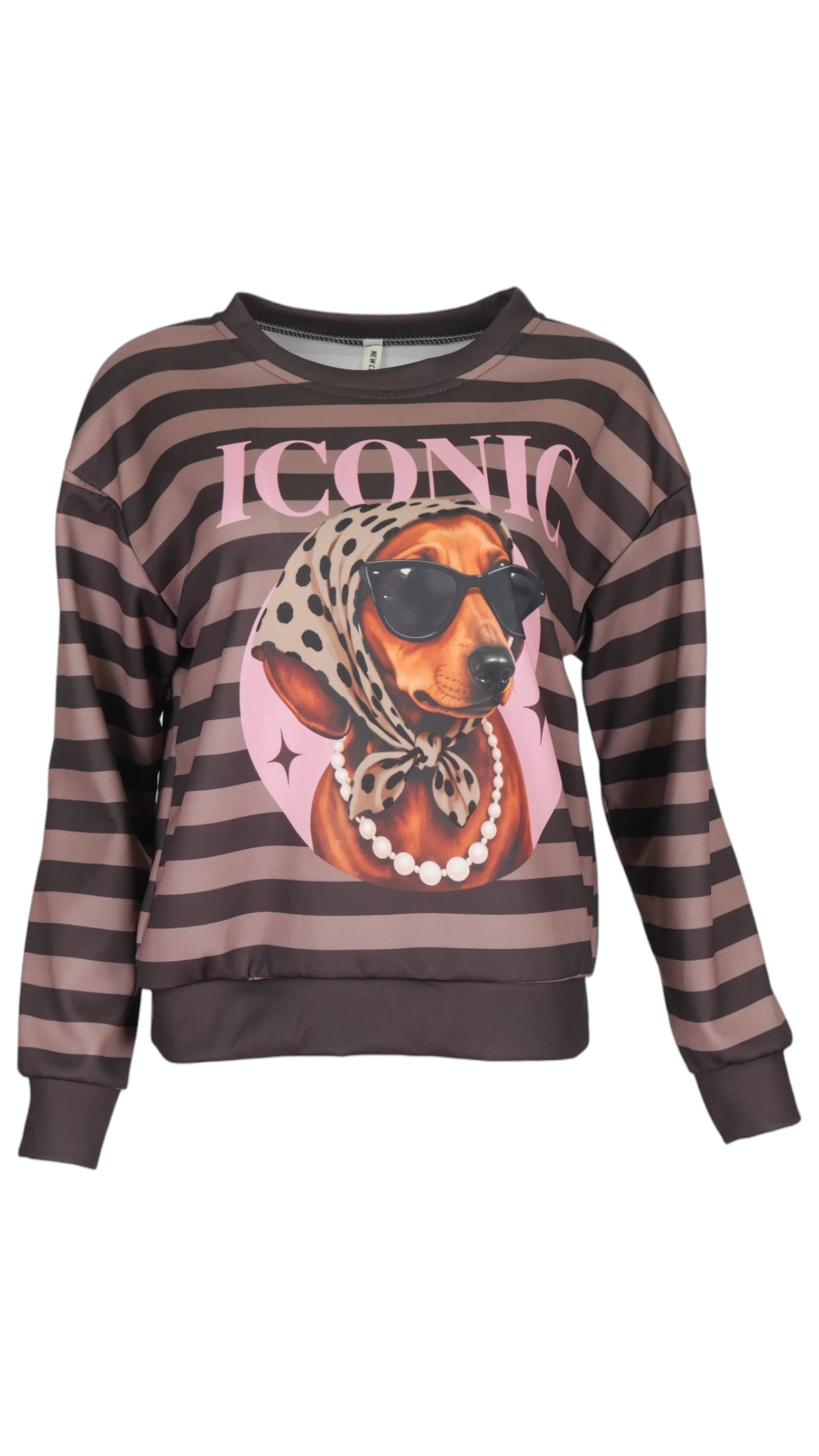 Sudadera Iconic de rayas marrón y negro, con estampado de perro con gafas, letras ICONIC y manga larga.