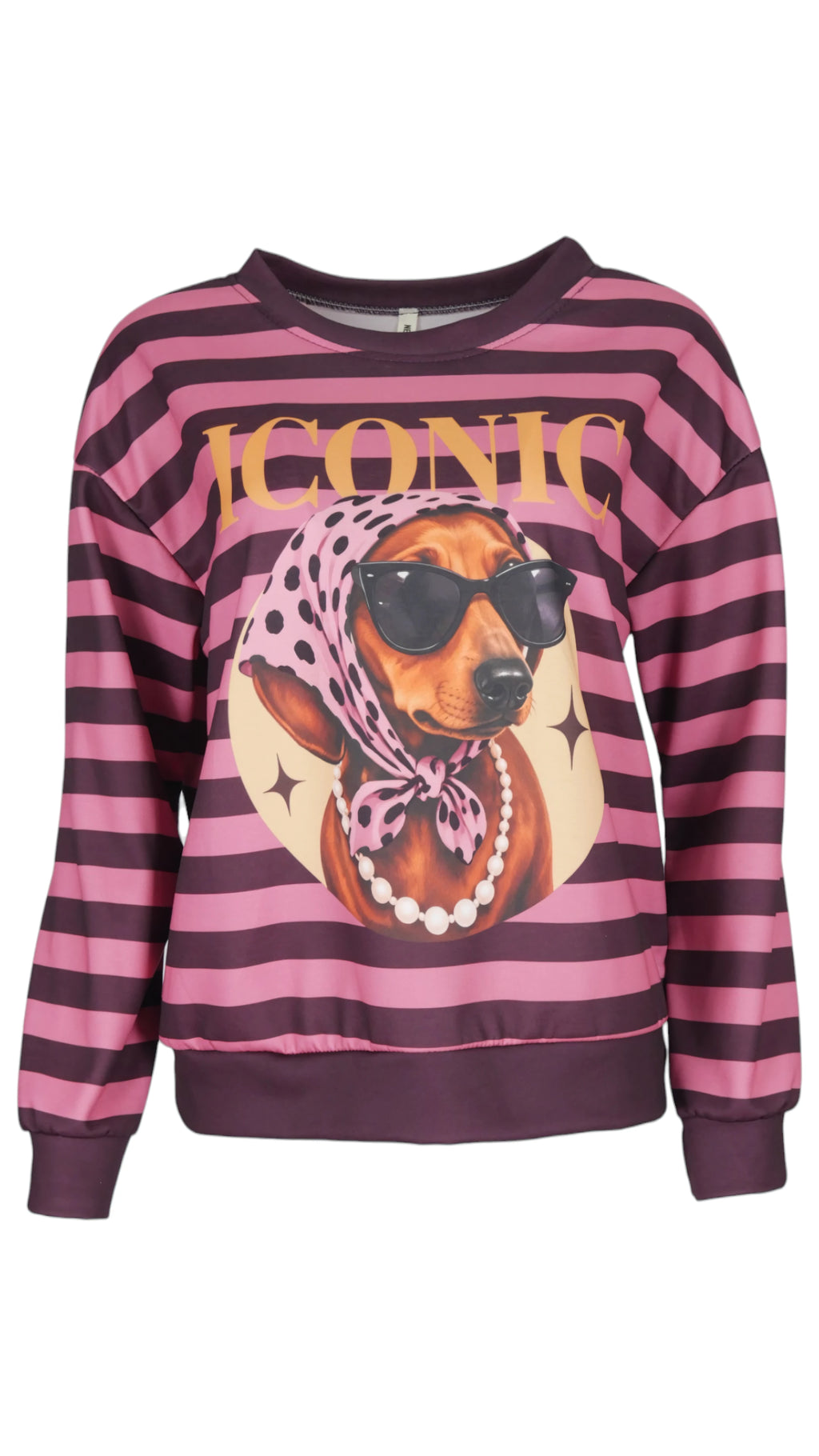 Sudadera Iconic de rayas rosa y negro, con estampado de perro con gafas, letras ICONIC y manga larga.